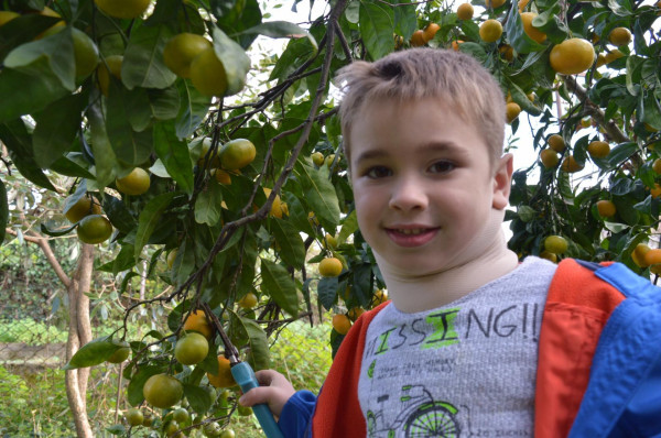 Мечты осуществляются по разному 